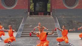 art kunst kunstmagazin shaolin artist-ritual